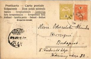 1905 Zsámbok, Beniczky Ádám kastélya télen. photo