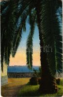 1930 Gardone Riviera, Lago di Garda, Giardino, Grandhotel e Isola (EK)