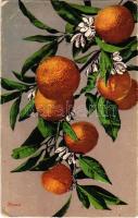 1930 Aranci / Oranges. Brunner & C. 10099. (EK)