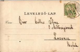 1903 Losonc, Lucenec; patak / creek. photo