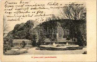 1906 Jászó, Jászóvár, Jasov; park / park (fa)