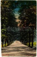 1917 Szliácsfürdő, Szliács, Kúpele Sliac; Ruszegger sétány. Krompecher Gy. és fia kiadása / park promenade (ragasztónyom / gluemark)