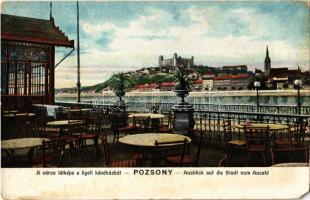 Pozsony, Pressburg, Bratislava;város látképe a Ligeti kávéházból / view from the cafe terrace (EM)