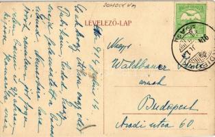 1914 Bárdibükk, Bárdudvarnok; Goszthony kastély (vágott / cut)