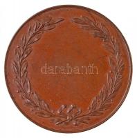 ~1890-1900. "Békés Megyei Gazdasági Egyesület" gravírozott Br érem (45mm) T:1-