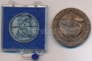 Garamkeszi János (1936- ) 1978. "Mezőtúr 600 éves / Dózsa György" ezüstözött Br emlékérem ...