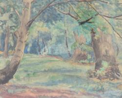 L de Paál jelzéssel: Erdőrészlet. Akvarell, papír, sérült fa keretben, 26,5x32 cm