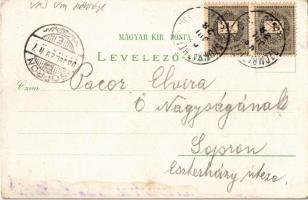 1898 Szombathely, Vármegyeház, Fő tér, Székesegyház. Regel & Krug Art Nouveau, floral, litho (fl...