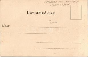 Siófok, Központi szálloda és vendéglő, Balaton. Divald Károly 209. sz