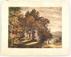 Paulovits Pál (1892-1975): A Baglyason. Színezett rézkarc, karton, jelzett, 29×39 cm