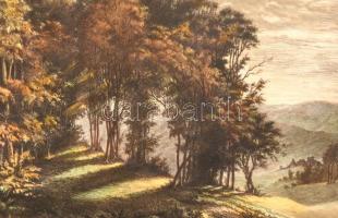 Paulovits Pál (1892-1975): A Baglyason. Színezett rézkarc, karton, jelzett, 29×39 cm