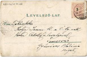 1899 Veszprém, Vármegyeház, Irgalmas nénék intézete, Angolkisasszonyok intézete, floral, litho (kopo...