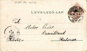 1899 Székesfehérvár, Vörösmarty Mihály szobor. Kiadja Kaufman F. 9. sz. floral, Art Nouveau, litho (...