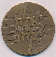 Izrael 1976 "Operation Jonathan, He Sent From Above/and Took Me" emlékérem Br. sérült dísz...