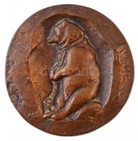 Madarassy Walter (1909-1994) DN "Dr. Soós Gyula / medve" Br. emlékérem (75mm) T:1- kis pat...