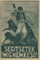 Irredenta propaganda