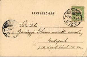 1903 Budapest IX. Ferenc körút, villamosok, Biehn János és Preisauh Mór üzlete. Divald Károly 138. s...