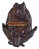 Osztrák-Magyar Monarchia ~1914-1918. "Császári és Királyi Légierő" Br jelvény, vízszintes ...