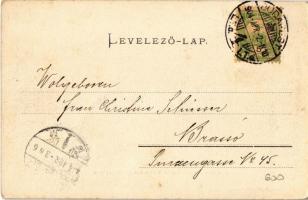 1904 Budapest XII. Svábhegyi nyaralók. Ganz Antal 146