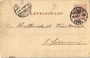 1899 Budapest II. Szent Lukács és Császár fürdő, gőzhajó. Rigler Részv. Társ. Art Nouveau, litho (EK...