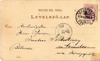 1897 Budapest, Vámháztéri híd, Feszty körkép, Vígszínház. Eisler G. kiadása, Art Nouveau, floral, li...