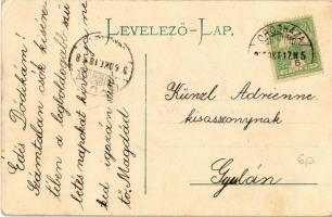 1906 Gyula, Békésvármegye székháza. Dobay János kiadása