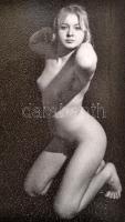 cca 1969 Marinkay István (1920-?) veszprémi fotóművész hagyatékából, ,,Akt 65" feliratú dobozbó...