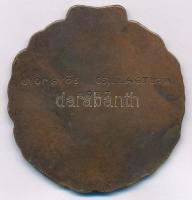 1937. "H. A. E. EGER GYÖNGYÖSI CSILLAGTURA 1937" Br emlékérem (52x50mm) T:1-
