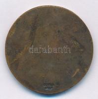 DN Motorsport Br érem (29mm) T:2-