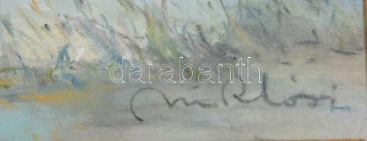 Miklósi Gyula: Balaton. Akvarell, papír, Jelzett. Üveggel.  27x37 cm