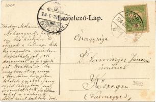 1906 Sopron, megyeház, Szentháromság szobor. Kummert L. utóda (EK)