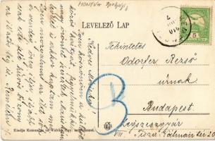 1910 Kemence, régi megyeháza, Esperes úr lakóháza (villa), Fogyasztási és értékesítő szövetkezet üzl...