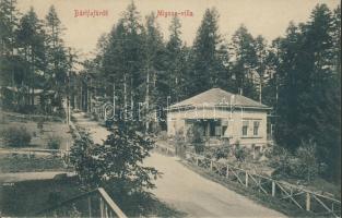 Bártfafürdő Mignon villa