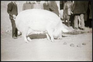 cca 1947 Tildy Zoltán (1889-1961) köztársasági elnök és Nagy Imre (1896-1958) későbbi miniszterelnök...