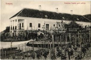 Vonyarc, Vonyarcvashegy; Festetics Tassilo Gróf szőlője és kastélya. Mérei Ignác 493-1907.