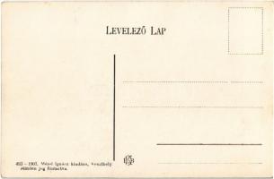 Vonyarc, Vonyarcvashegy; Festetics Tassilo Gróf szőlője és kastélya. Mérei Ignác 493-1907