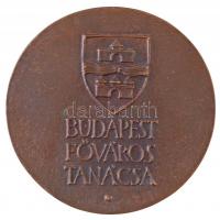 Asszonyi Tamás (1942-) 1986. "A Budai Sikló Újjáépült / Budapest Főváros Tanácsa" kétoldal...