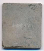 Sződy Szilárd (1878-1939) 1926. "Dr. Füzesséry Zoltán 1901-1926" ezüstözött Br plakett (30...