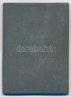 DN "Magyar Kerékpáros Szövetség 1894" részben aranyozott Br díjplakett, gravírozás nélkül ...