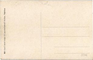 Szigliget, Vár, Grófi kastély, Gerő Adolf kiadása