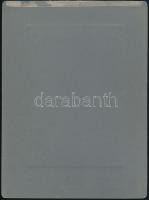 cca 1910 Szatmár, Hollósi József fényképész műtermében készült, keményhátú, vintage fotó, 23,8x17,8 ...
