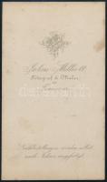 1868 Temesvár, Julius Milliott fényképész műtermében készült, vizitkártya méretű, vintage fotó, 10,5...