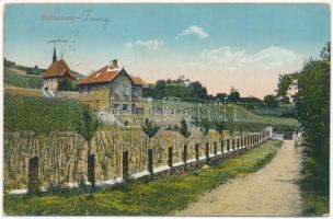 1923 Badacsony, utcakép kápolnával a háttérben, automobil, szőlőskertek villával