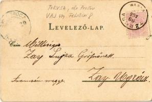 1899 Tarcsa, Tatzmannsdorf; gyógyudvar, Carolina Villa, Károly forrás, gyógytér, forrás épület. Wlas...