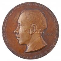 Telcs Ede (1872-1948) 1925. "Szentgáli Károly" Br emlékplakett (290,69g/148mm) T:2 / Hungary 1925. "Károly Szentgáli" Br commemorative plaque. Sign.: Ede Telcs (290,69g/148mm) C:XF  HP 6170.