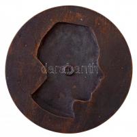 Telcs Ede (1872-1948) 1925. "Szentgáli Károly" Br emlékplakett (290,69g/148mm) T:2 / Hunga...