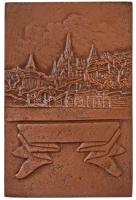 Vincze Dénes (1914-1972) 1955. "IX. FÉRFI KOSÁRLABDA EURÓPA BAJNOKSÁG BUDAPEST 1955" Br em...