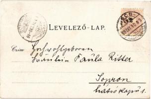 1898 Fraknó, Forchtenstein; Schloss Forchtenstein / Fraknó vára. Samuel Schön kiadása / castle. Art ...