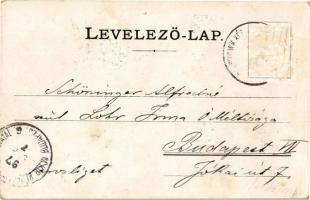 1897 Felsőhági, Visne Hagy, Vysné Hágy (Tátra, Tatry); Koliba szálloda, Logirhaus nagyszálló / hotel...