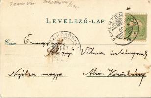 1900 Fehértemplom, Ung. Weisskirchen, Bela Crkva; utca, templomok, sörcsarnok. Gustav Wunder 4842. /...